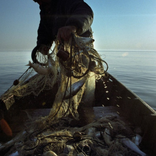 Comisia Europeană a adoptat propunerile pentru pescuitul din 2025 în Marea Mediterană și Marea Neagră