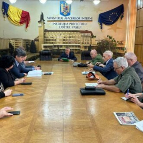 Ședință a Comitetului Consultativ pentru Problemele Persoanelor Vârstnice