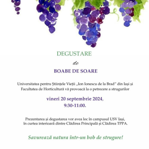Degustare de soiuri de struguri la Universitatea de Științele Vieții din Iași