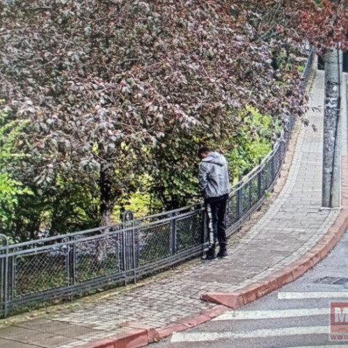 Incident neplăcut pe bulevardul Mihai Eminescu din Botoșani