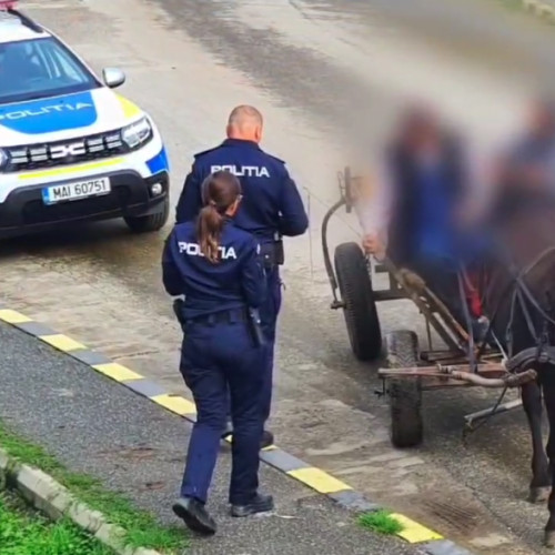 Acțiune majoră a poliției în județul Brașov pentru protecția animalelor