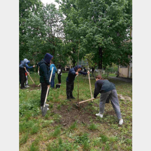 Proiectul "Învățăm grădinărind" a fost un succes în Oradea