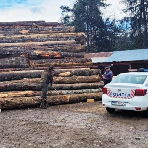 Acțiune a poliției și a specialiștilor silvici pentru prevenirea ilegalităților în domeniul silvic