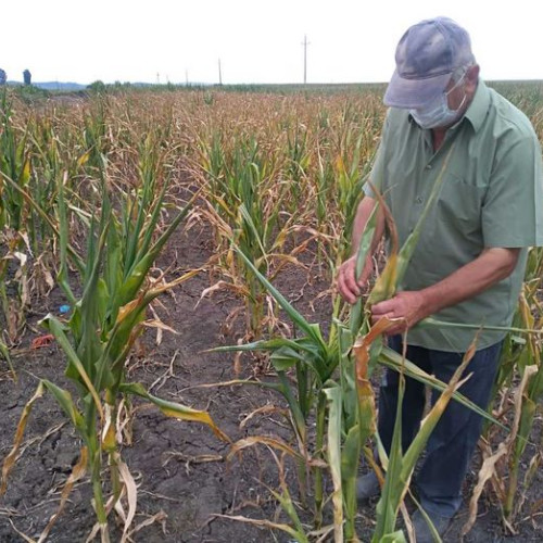 Situația agricolă din județ devine din ce în ce mai alarmantă