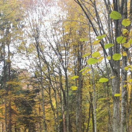 Vremea în Alba în weekendul 20 - 22 septembrie