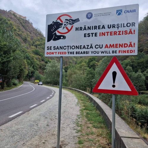 Panouri de avertizare instalate pe Transfăgărășan pentru protecția turiștilor și a urșilor