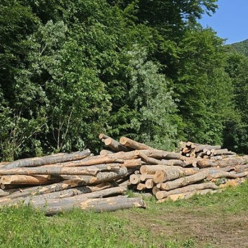 Accident tragic în comuna Nereju