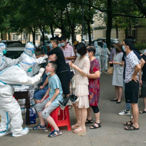 Virusul SARS-CoV-19 ar fi apărut în piața de animale din Wuhan, conform unui nou studiu