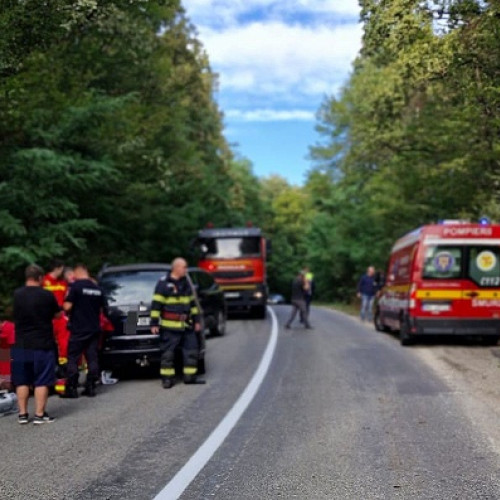 Accident rutier tragic în Satu Mare