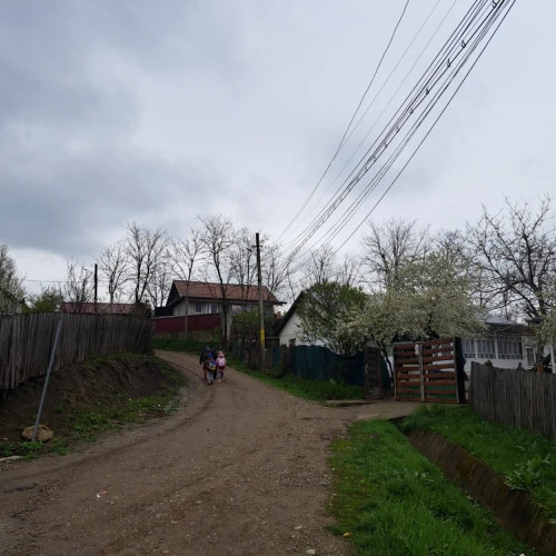 Saracia din județele Botoșani, Giurgiu și Călărași: 59% din populație fără loc de muncă