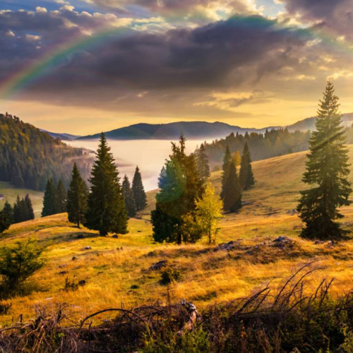 Echinoctiul de toamnă va avea loc pe 22 septembrie