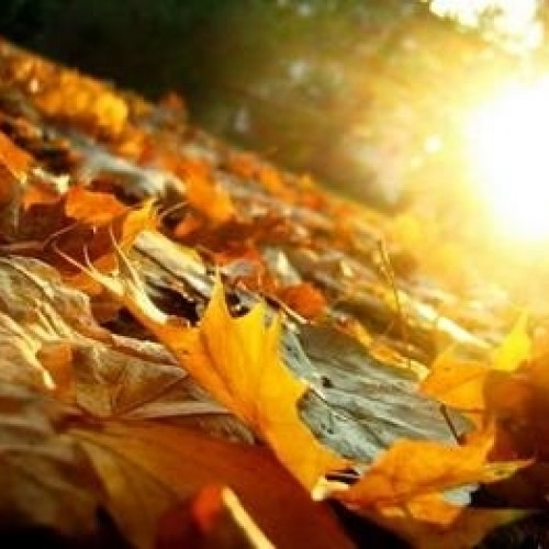 Echinoctiul de toamnă 2024 marchează începutul sezonului rece