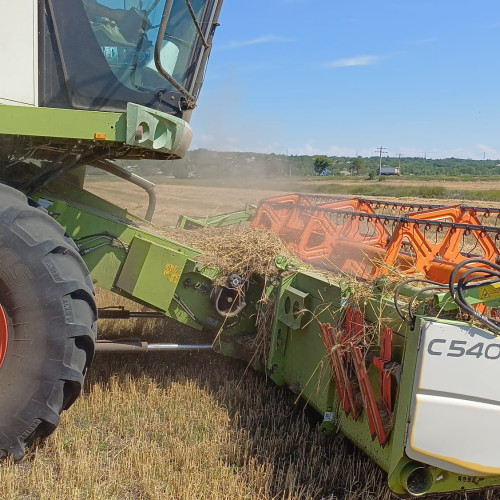 Agenția de Plăți și Intervenție pentru Agricultură reamintește obligațiile tinerilor fermieri