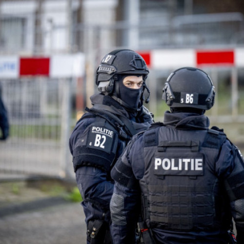 Trei români căutați internațional, incluși pe lista Europol a celor mai periculoși infractori