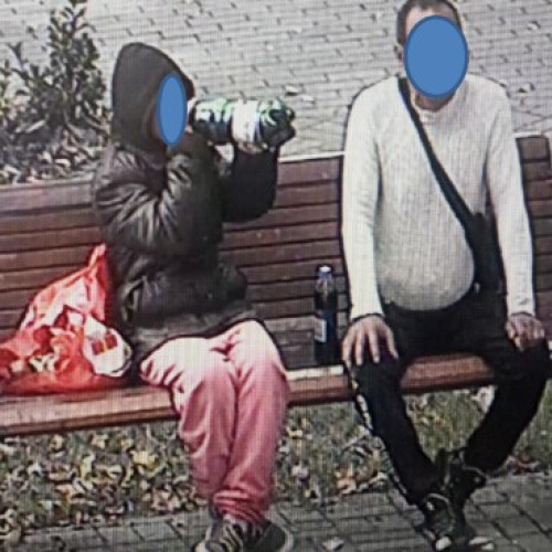 Doi bărbați amendați pentru consum de alcool în Parcul Mihai Eminescu