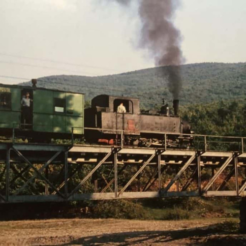 Linia de cale ferată Alba Iulia - Zlatna sărbătorește 129 de ani de la inaugurare