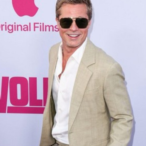 Cinci arestați în Spania pentru înșelăciune prin metoda „falsul Brad Pitt”