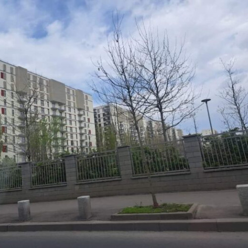 Mihaela Ștefan denunță problemele urbanistice de pe Bulevardul Timișoara