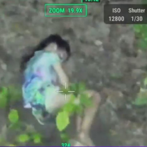 O fetiță de 10 ani din SUA, dispărută, a fost găsită în pădure după 24 de ore