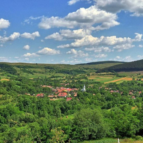 Locuitorii din Ceaba, Cluj, folosesc un "medicament" tradițional din tuică