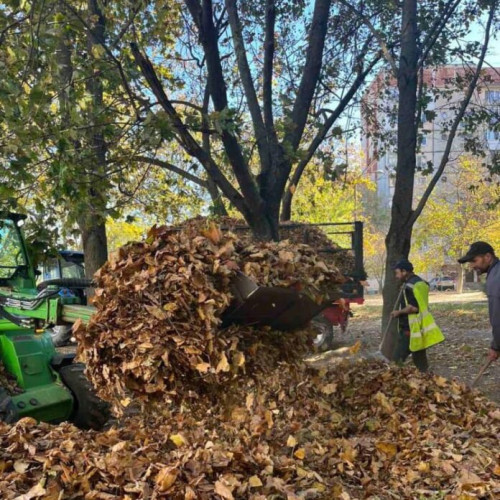 Reciclarea rămâne o prioritate în această toamnă