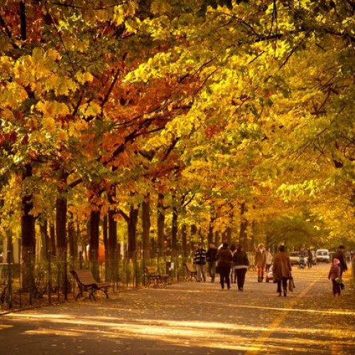 Prognoza meteo: Octombrie 2023 va fi mai cald decât de obicei