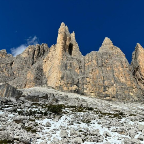 Salvatorii montani din Maramureș, experiență internațională în Italia