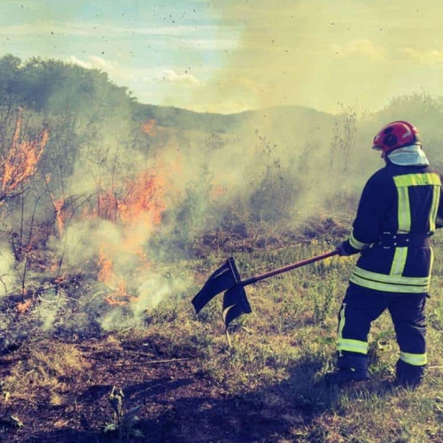 Incendiu de vegetație în comuna Metes, satul Ampoita