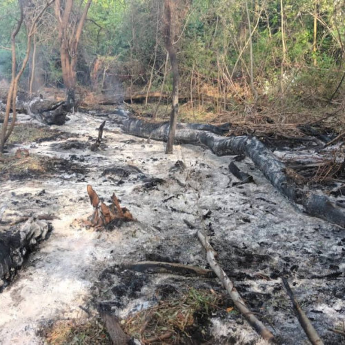 Fragmente de dronă rusească descoperite în județul Tulcea