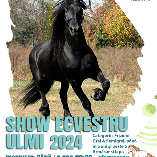 Show Ecvestru la Ulmi în luna noiembrie