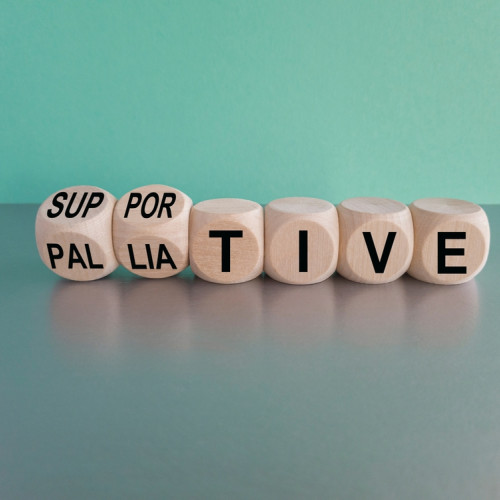 Importanța îngrijirilor paliative în sprijinul pacienților și familiilor acestora