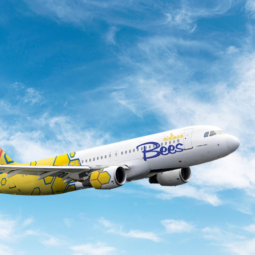 Bees Airlines lansează o nouă rută de la Suceava către Bergamo