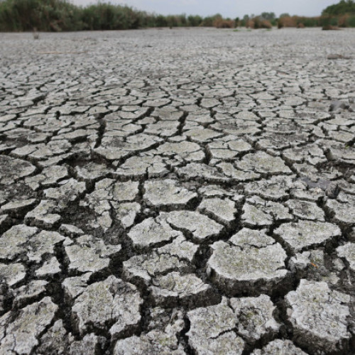 Guvernul va aloca aproape 900 de milioane de lei pentru agricultori afectați de secetă și războiul din Ucraina