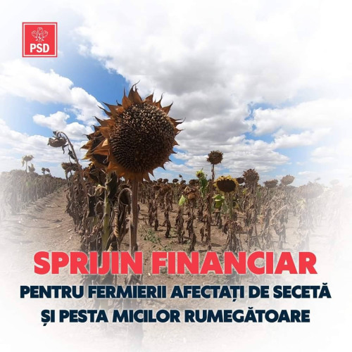 Fermierii români vor primi despăgubiri pentru culturile afectate de secetă