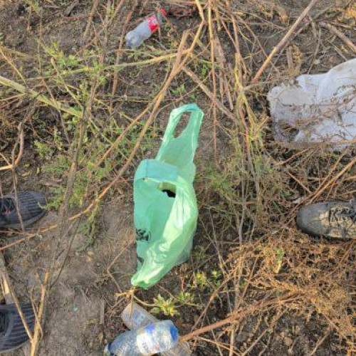 Descoperire șocantă: Trei pui de cățel abandonați într-o pungă în Botoșani