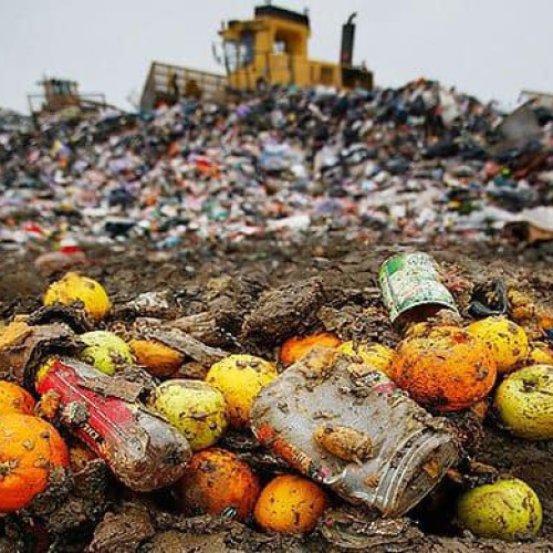 Salubrizare 5 îndeamnă cetățenii să protejeze mediul