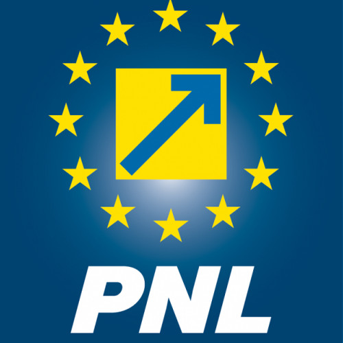 PNL a aprobat candidații pentru alegerile parlamentare din 2024
