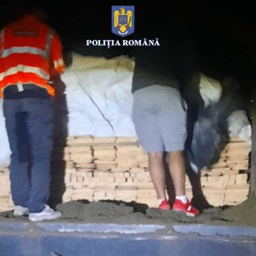 Botoșănean prins cu material lemnos transportat ilegal