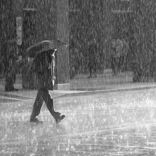 Cod galben de ploi anunțat pentru județul Botoșani