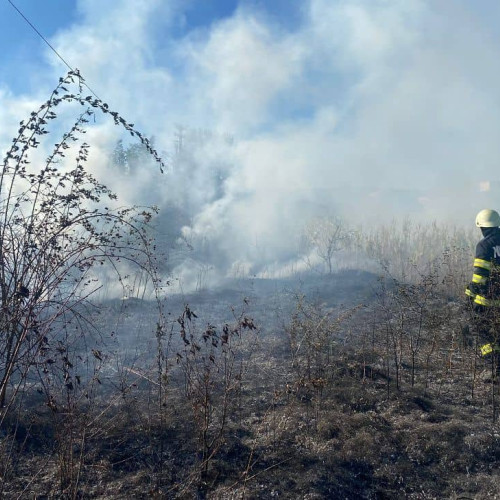 Incendiu de vegetație în Alba Iulia, mobilizare a pompierilor