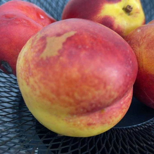 Nectarine retrase de la vânzare în magazinele Penny din cauza pesticideilor