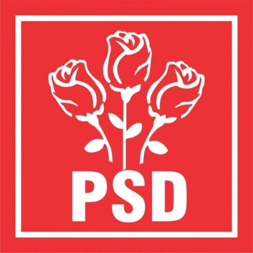 Haos în PNL și impactul său asupra stabilității țării, afirmă PSD Suceava
