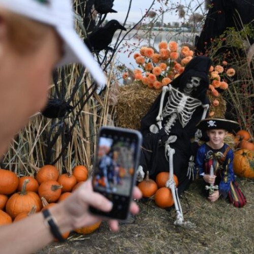 Insula Lacul Morii pregătește cea de-a doua ediție a West Side Hallo Fest