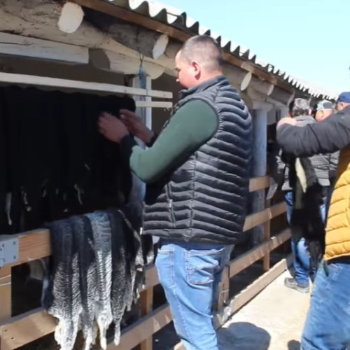 Vasile Maxim și pasiunea pentru animale în vremuri dificile