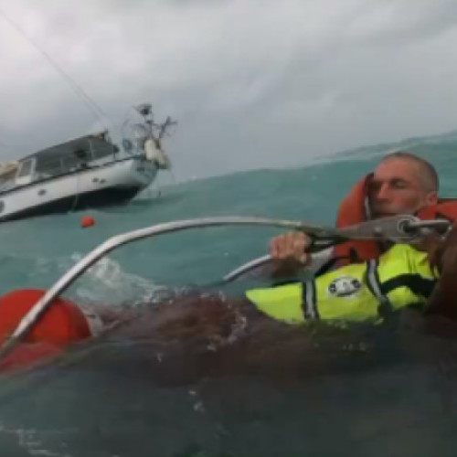 Paza de Coastă a Statelor Unite salvează un bărbat și câinele său după ce barca lor s-a scufundat