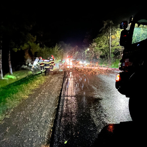 Pompierii din Botoșani intervin pentru a curăța efectele vremii nefavorabile