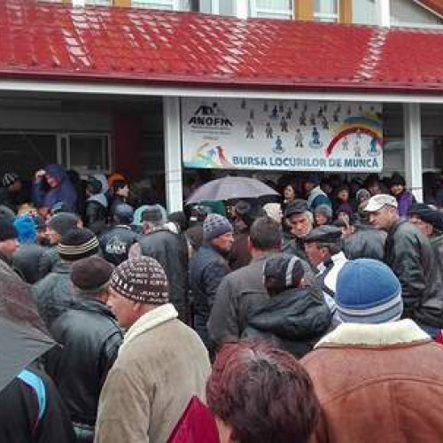 Creștere modestă a numărului de salariați în județul Vaslui