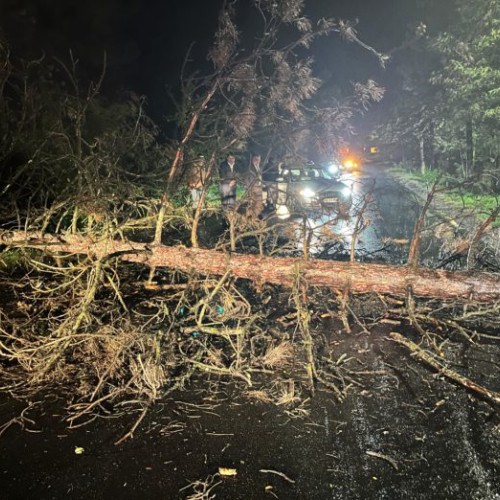 Fenomene meteorologice extreme afectează județul Botoșani