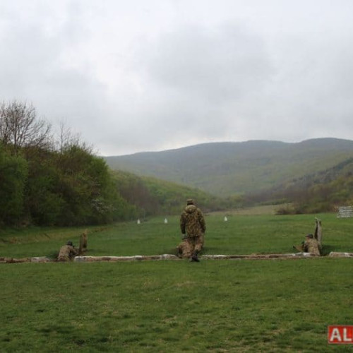 Batalionul 136 Geniu "Apulum" din Alba Iulia găzduiește un exercițiu internațional