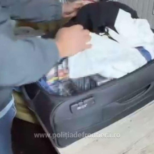 Descoperire importantă la Punctul de Trecere a Frontierei Nadlac II